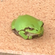 鍋の筆洗 のアバター
