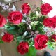 wellreadrose's avatar