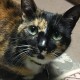 Lilly Bug's avatar