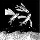 fishflytoo avatar