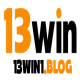 13Win 的头像