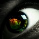 emeraldwake's avatar