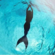 Woman Inside Water's avatar