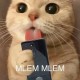 Bí Mật's avatar