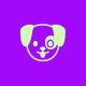 Avatar de Jussara Conceição Ferreira