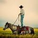 Christopher Wilson Photography's avatar