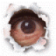 G. Karst's avatar