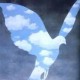 jomerod's avatar