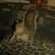 stonedsquirrel's avatar
