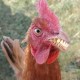 Kimberlee's avatar