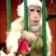 Anveshi's avatar