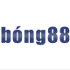 Hình đại diện người dùng