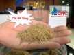 Hình ảnh của thư viện ảnh