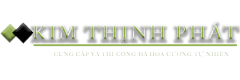 Hình ảnh của thư viện ảnh