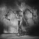 Fotogalerie-Bild