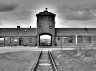 Fotogalerie-Bild