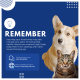 LifeNDogs-Insuring Pets and some giggles