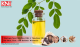 Moringa Seed Oil (Ben Oil): A Timeless Elixir for Skin, Hair, and Holistic Wellness
