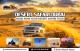 Dubai Desert Safari