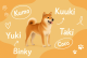 Dog Age Calculator