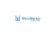 Business Mentorship Program