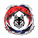 Precision Rifle Academy
