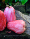 Prosperity Meals: Fall & Winter Recipe Collection