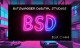 BitSwagger Digital Main Hub