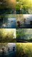 Post Link Photography