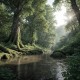 Human Impacts and Sustainable Solutions