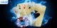 Trải nghiệm game bài đỉnh cao cùng RR88