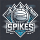 Rocky Spikes Volleyball