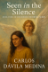 The Mirror She Broke: Seen In The Silence
