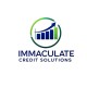 Credit & Taxes