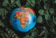 ICRT global Newsletter