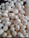 Foxnut makhana High Protein | Gluten-Free | Roasted Goodness” “100% Natural • No Preservatives • Farm Fresh”