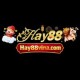 HAY88