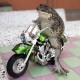 Photo gallery image