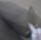 Immagine Galleria foto